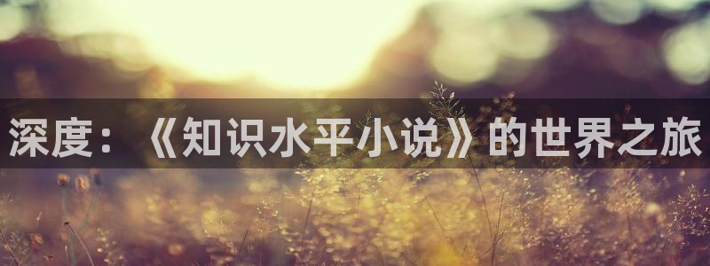 国产亚洲精品久久久久久小说：深度：《知识水平小说》的世界之旅