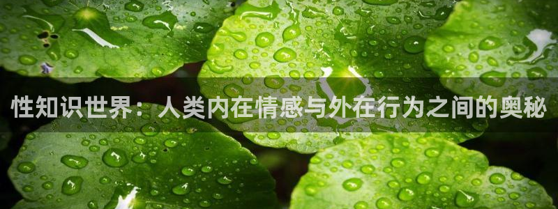 久久小说下载网网址