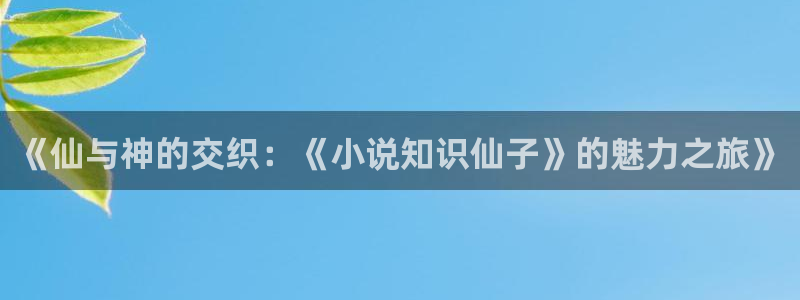 久久小说网手机txt免费下载