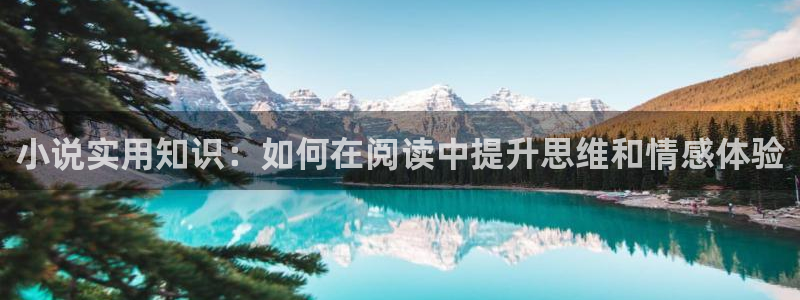 久久小说下载网：小说实用知识：如何在阅读中提升思维和情感体验