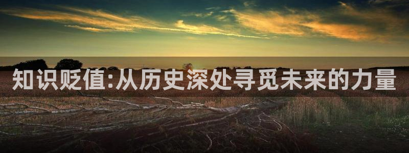 久久小说网软件：知识贬值:从历史深处寻觅未来的力量