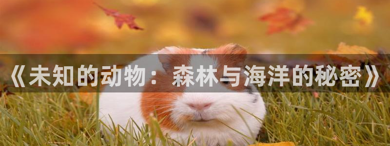久久小说网入口