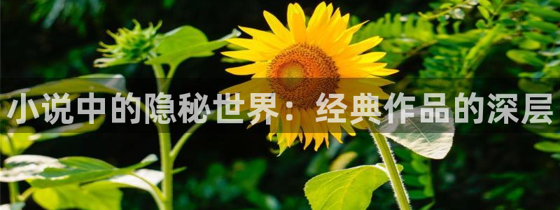 txt久久小说全本免费下载
