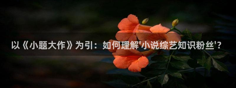 久久小说电子网